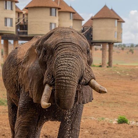 Salt Lick Safari Lodge Tsavo Kültér fotó