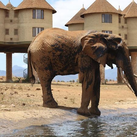 Salt Lick Safari Lodge Tsavo Kültér fotó