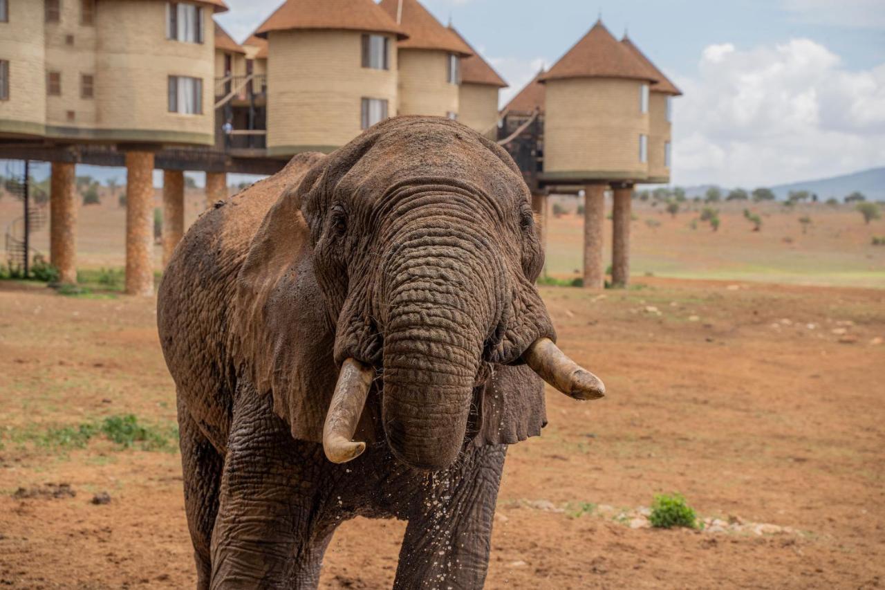 Salt Lick Safari Lodge Tsavo Kültér fotó