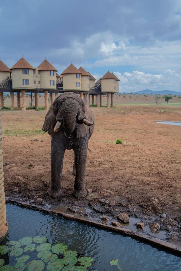 Salt Lick Safari Lodge Tsavo Kültér fotó