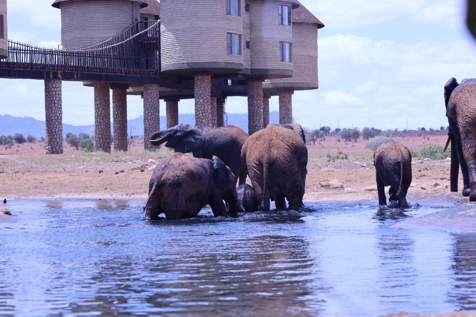 Salt Lick Safari Lodge Tsavo Kültér fotó