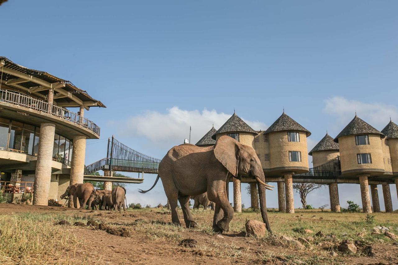 Salt Lick Safari Lodge Tsavo Kültér fotó