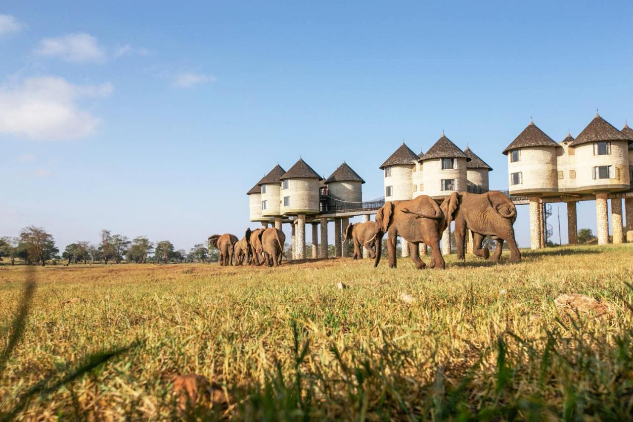 Salt Lick Safari Lodge Tsavo Kültér fotó
