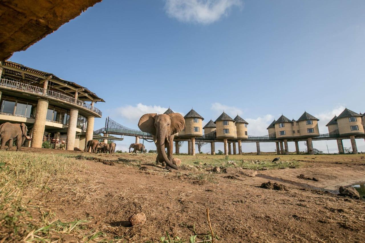 Salt Lick Safari Lodge Tsavo Kültér fotó