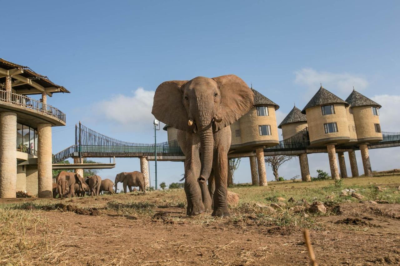Salt Lick Safari Lodge Tsavo Kültér fotó