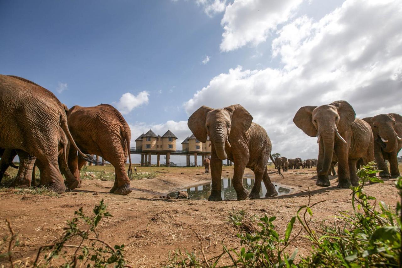 Salt Lick Safari Lodge Tsavo Kültér fotó