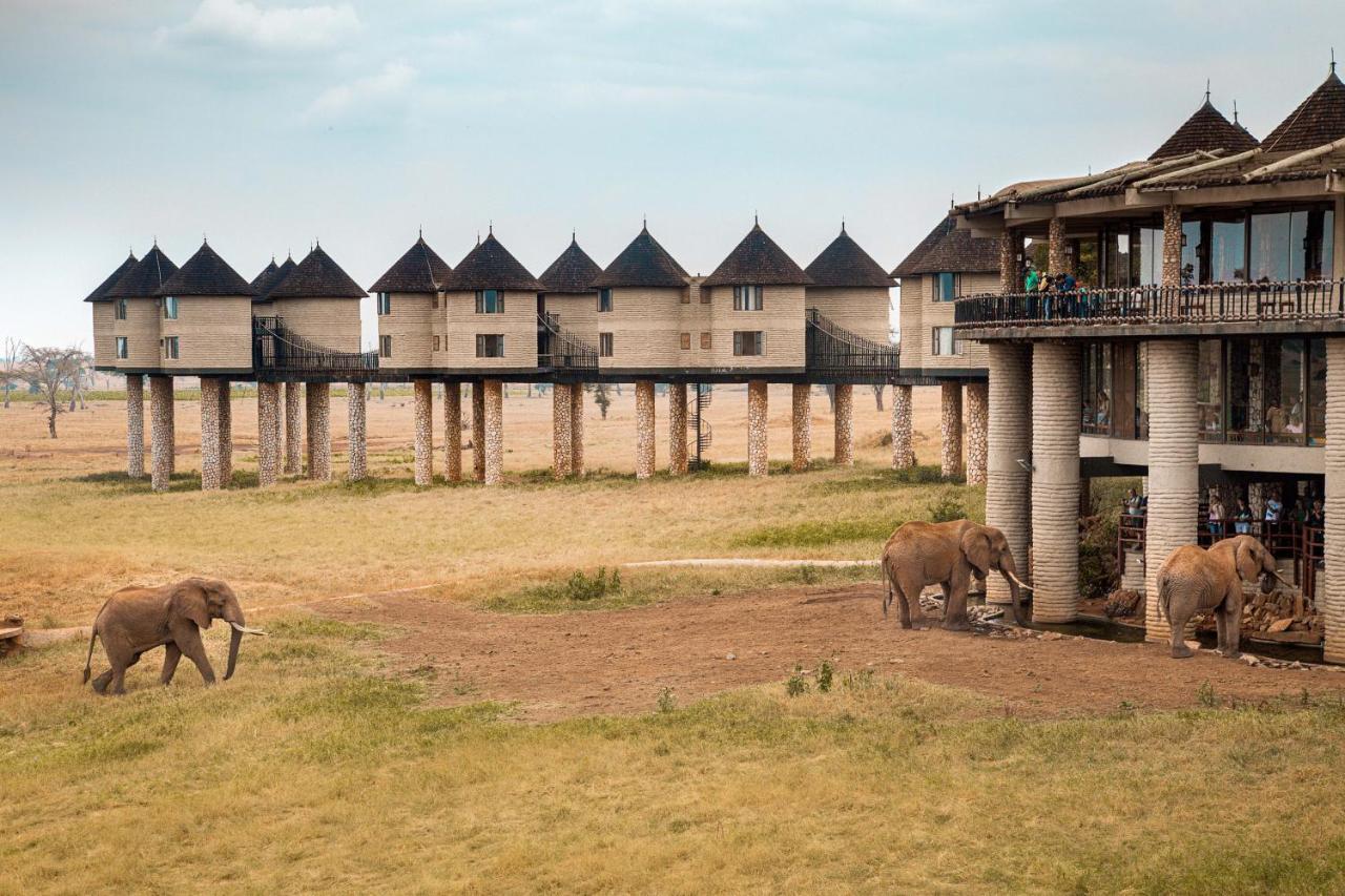Salt Lick Safari Lodge Tsavo Kültér fotó